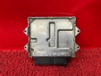 Fiat Linea Motor Beyni